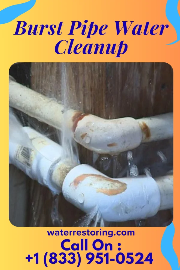 Burst Pipe Water Cleanup in Seneca, OR