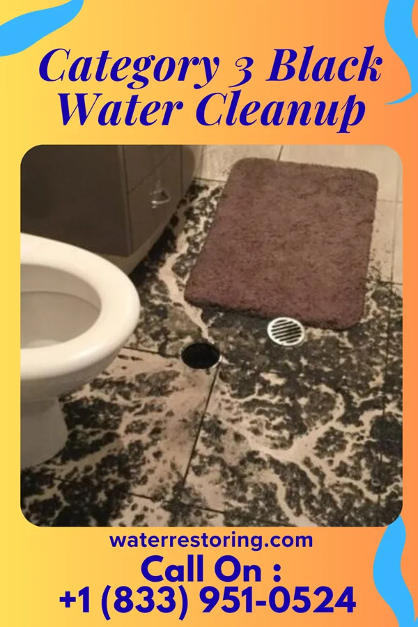 Category 3 Black Water Cleanup in Seneca, OR