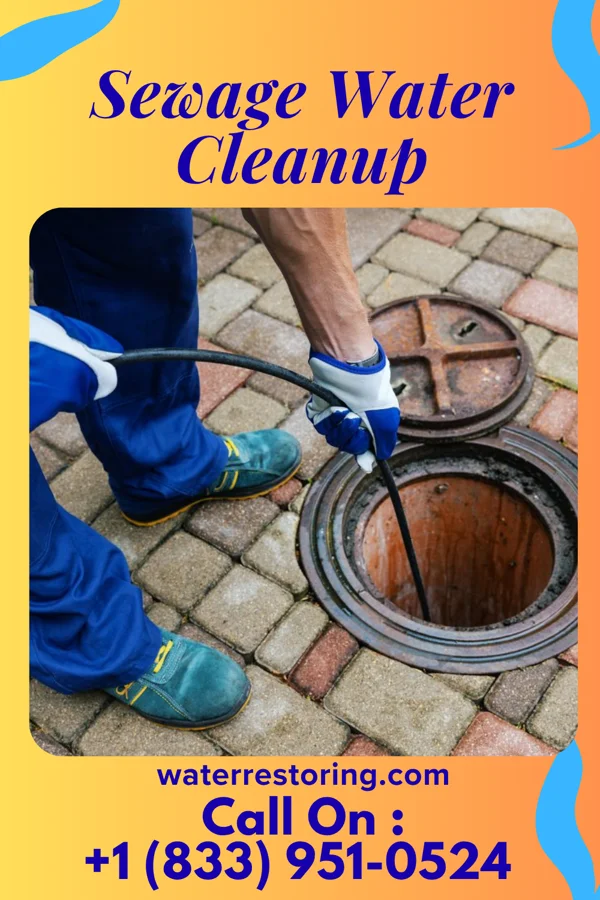 Sewage Water Cleanup in Seneca, OR